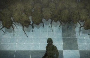 the_fish21